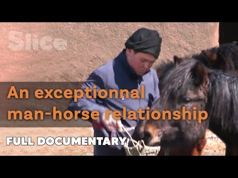 The man perpetuating horse rearing tradition in Mongolia | SLICE | FULL DOCUMENTARY