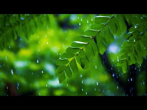 교실에서도 집중 잘되는 차분한 음악 🎧 공부·업무·명상에 최적화된 힐링음악