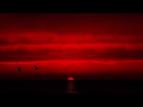 🔴 О силе Крови. Нечестивые совершают нечистые посты. Сосуды под водительством. Об Америке.  США