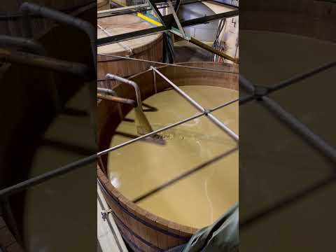Filling Wooden Fermentation Vat with Distillers Beer Mash at Four Roses Distillery #FourRosesBourbon