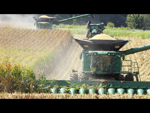 KENTUCKY CORN HARVEST 2025 with 3x John Deere X9 1000 Combines and 16-Row Corn Headers | BIG Harvest