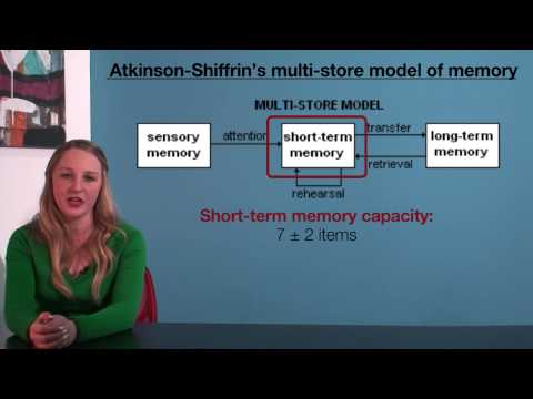 VCE Psychology - Atkinson-Shiffrin's Multi-Store Model of Memory