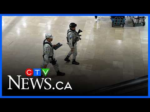 What’s driving the violence in Mexico? A public safety analyst weighs in