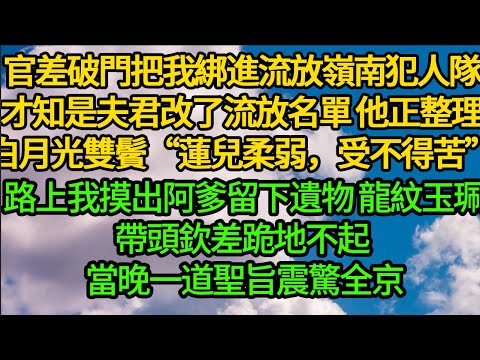 官差破門把我綁進流放嶺南的犯人，才知是夫君改了流放名單 他正整理白月光雙鬢“蓮兒柔弱，受不得苦”路上我摸出阿爹留下遺物 龍紋玉珮，帶頭欽差跪地不起 當晚一道聖旨震驚全京