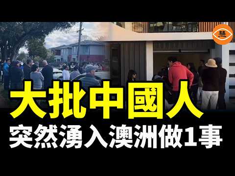 【快報】驚出冷汗！儲戶一覺醒來 銀行資產全部「清零」；大批中國人突然湧入澳洲做1事；牧師拒掛5星旗後下落不明；女子被ICE反銬帶走 美民眾卻一面倒支持？