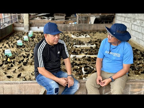 100 Million++ na ang kanyang assets dahil lang sa pag-iitik + Balotan hatchery operation