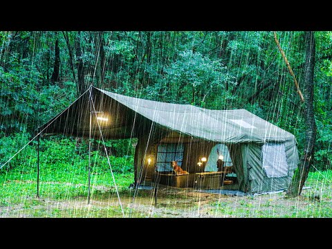 Heavy Rain Forest Camping with My Dog | Cozy Inflatable Tent | Solo Camp ASMR