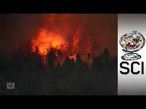 The Mega-fire Danger Coming To Your Home Soon