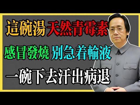 倪海廈：這碗湯是“天然青黴素”！感冒發燒別急著輸液，一碗下去汗出病退！#倪海廈 #倪海廈中醫養生 #中醫健康  #中醫養生 #漢唐中醫 #健康飲食 #養生之道 #長壽秘訣 #養生知識