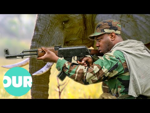 Joseph Kony: The Warlord Stealing Elephant Ivory | Animal Black Ops | Our World