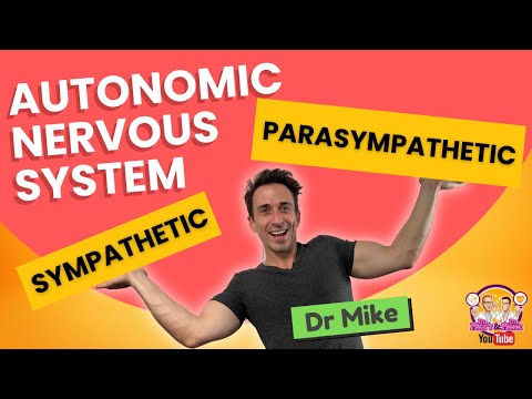 Autonomic Nervous System (Sympathetic & Parasympathetic) - Overview