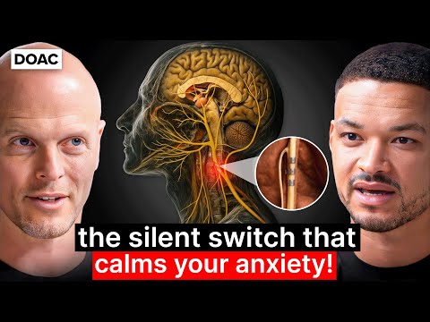 Tim Ferriss: The Hidden Nerve That Controls Trauma, Mood & Emotional Pain!