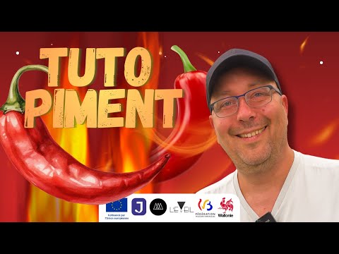 Tuto PIMENT - Comment planter et réussir votre PIMENT facilement !