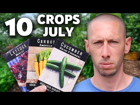 10 Crops You’ll REGRET Not Planting This July