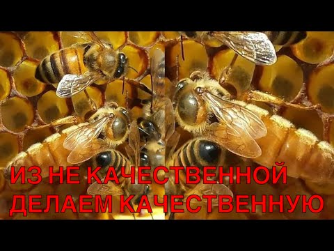 DO YOU HAVE A BAD UTERUS? DO THIS