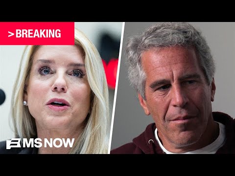 BREAKING: DOJ plans to release new batch of Epstein files 'fairly soon'