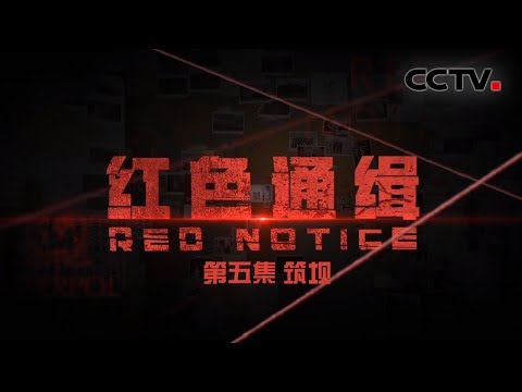 《红色通缉》 第五集 《筑坝》肃清腐败分子外逃的“地下通道” | CCTV国际追逃追赃纪实片