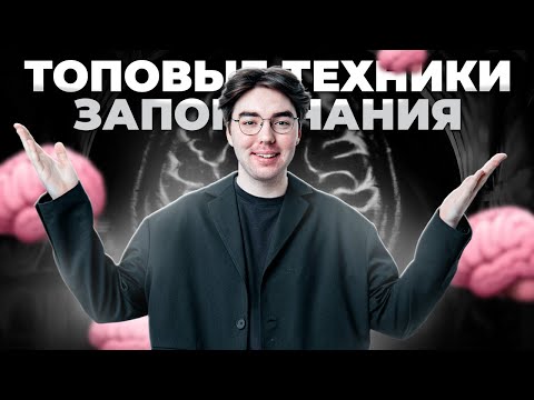 Как запомнить всю теорию для ОГЭ? | ТОПовые техники запоминания