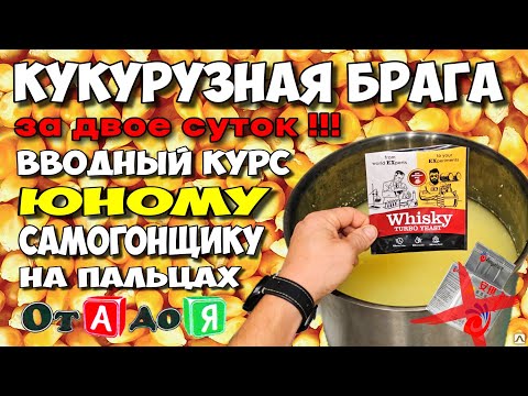 Выкинь Кодзи, учись ставить ЗЕРНОВУЮ брагу ПРАВИЛЬНО, это проще чем ты думаешь ! 2 СУТОК и ГОТОВО !