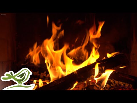 Instrumental Christmas Music & Cozy Fireplace 🎄 10 Years of Christmas with Soothing Relaxation