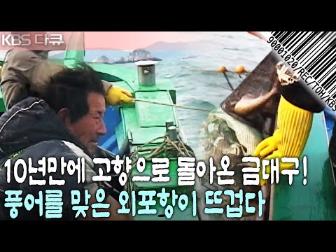 [현장기록⏮️그때] 30년만에 찾아온 최대 풍어! 집 떠난 대구가 돌아왔다! 2005년 금대구로 뜨거웠던 외포항! | 현장르포 제3지대 | KBS 2005.01.25 방송