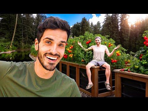 Harvesting our Homestead (you'll be shocked by this off grid garden)