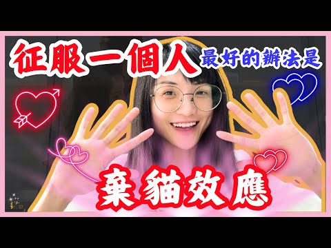 征服一個人最好的辦法是棄貓效應｜星雲 #复合 #挽回 #分手 #婚姻 #復合 #吸引力法則