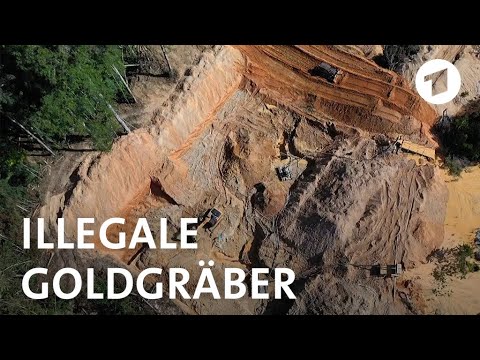 Der neue Goldrausch im Amazonas | Weltspiegel