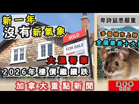明報溫哥華530 |大溫哥華2026年樓市繼續會跌|大溫Pattullo新橋改原住民名|卑詩鼠患嚴重 多城市上榜全國最差十大|搶劫案全程直擊 男子賣手機慘受害|加拿大新聞|明報五點半新聞直播