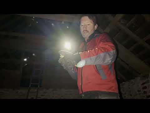 Clear up begins at the farm.