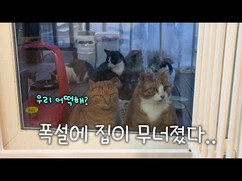 집이 있었는데요 없었습니다.