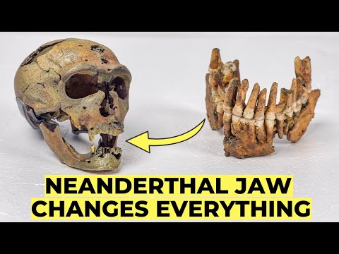 Ancient DNA Finally Reveals the Last Neanderthal's Secrets and Rewrites Human History