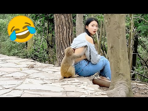 Try Not To Laugh 😂 - Funniest Videos of All Time 😅🤣 Memes Part 60