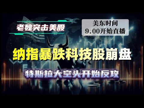 美股直播｜纳指暴跌科技股崩盘，特斯拉大空头开始反攻 #美股 #英伟达 #博通 #英特尔 #特斯拉 #soun #苹果 #投資   #美国超微公司 #crcl  #amd