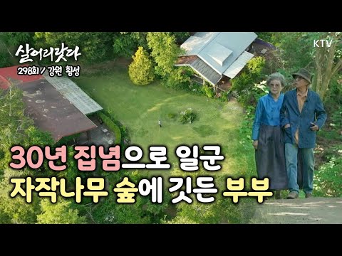 (강원 횡성/298회) 30년 집념으로 일군 자작나무 숲에 깃든 부부 koreatv, garden, Betula, Art gallery