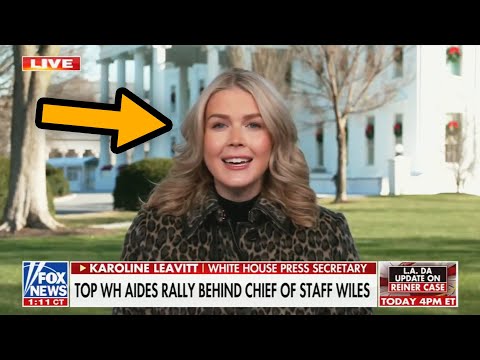 Fox hosts SHOCKED at Karoline Leavitt’s collapse