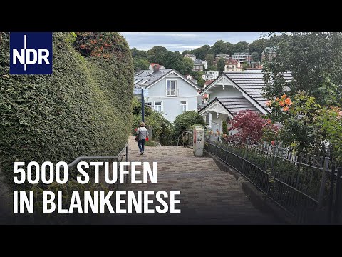 Hamburg: Das Treppenviertel an der Elbe | Die Nordreportage | NDR Doku
