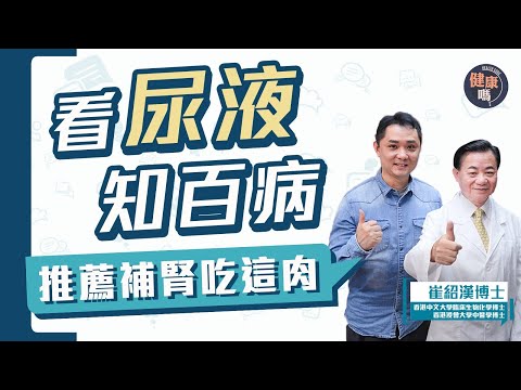 觀察小便次數 尿量 顏色 知健康｜出現泡泡尿不用怕 1招辨清真假泡｜吃這種肉補腎 維持濃密烏髮｜健康嗎 @HealthCodeHK 【Chat醫D】#崔博士 #尿 #健康