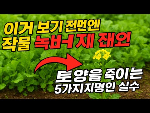 이거 보기 전엔 가을 녹비 작물 절대 심지 마세요! 토양을 죽이는 5가지 치명적인 실수.