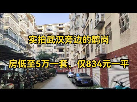 实拍武汉旁边的鹤岗，房低至5万一套，单价仅834元，出门就是地铁