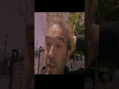 Trump Gives El Chapos whole family immunity