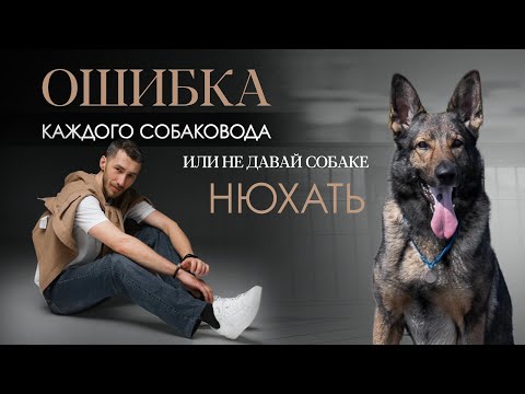 Почему нельзя СОБАКЕ НЮХАТЬ, ОШИБКА КАЖДОГО СОБАКОВОДА,