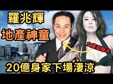 羅兆輝被香港人稱為地產神童，他從地產經紀到身家20億，他半生的輝煌又為何落得如此下場淒涼？Z檔案|奇案調查｜奇案｜劉嘉玲｜孫佳君｜羅兆輝|@Zfivesir