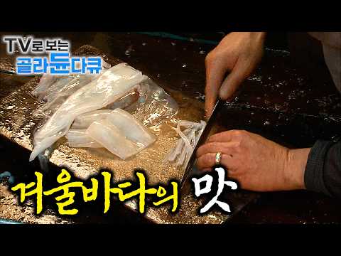 🐟추운만큼 꽉 차오르는 살. 잡자마자 먹는 신선한 겨울 생선의 맛🐟｜겨울 바다의 맛 1시간 몰아보기｜한국기행｜#tv로보는골라듄다큐