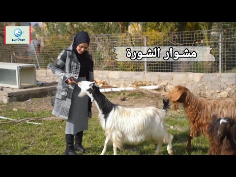 شيماء تزور ناحية الشورة حلقة كاملة HD وتتعرف على اسماء الأغنام وتربيتها جولة ريفية برنامج مشوار