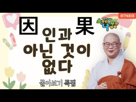 바늘 끝만 한 일도 인과 아닌 것이 없다. ㅣ광우스님 소나무 ㅣ 몰아보기 #복덕 #기도 #가피