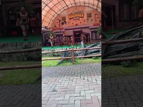 Animal Show di Safari Bogor guys. #tamansafari