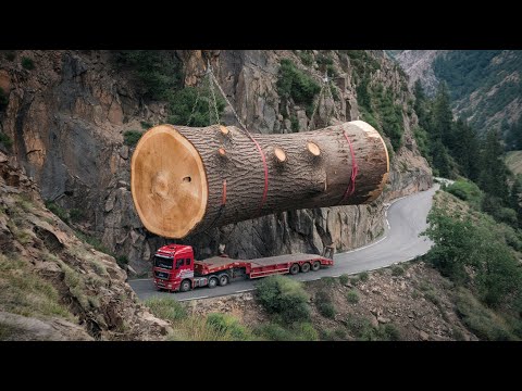 I survived the world's most dangerous tree cutting machines #2