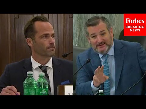 'You're Here Under Oath, Are You Going To Answer The Questions?' Cruz Grills TikTok Executive