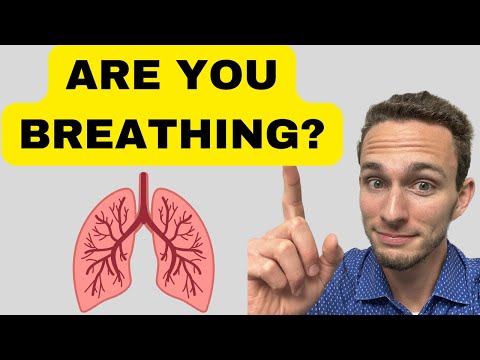 Respiratory System 101: Anatomy and Physiology